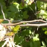 WP_20150507_09_11_02_Pro