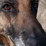 mocca-INSTA-portrait